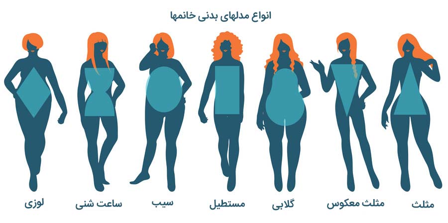 انواع فرم بدنی زنان
